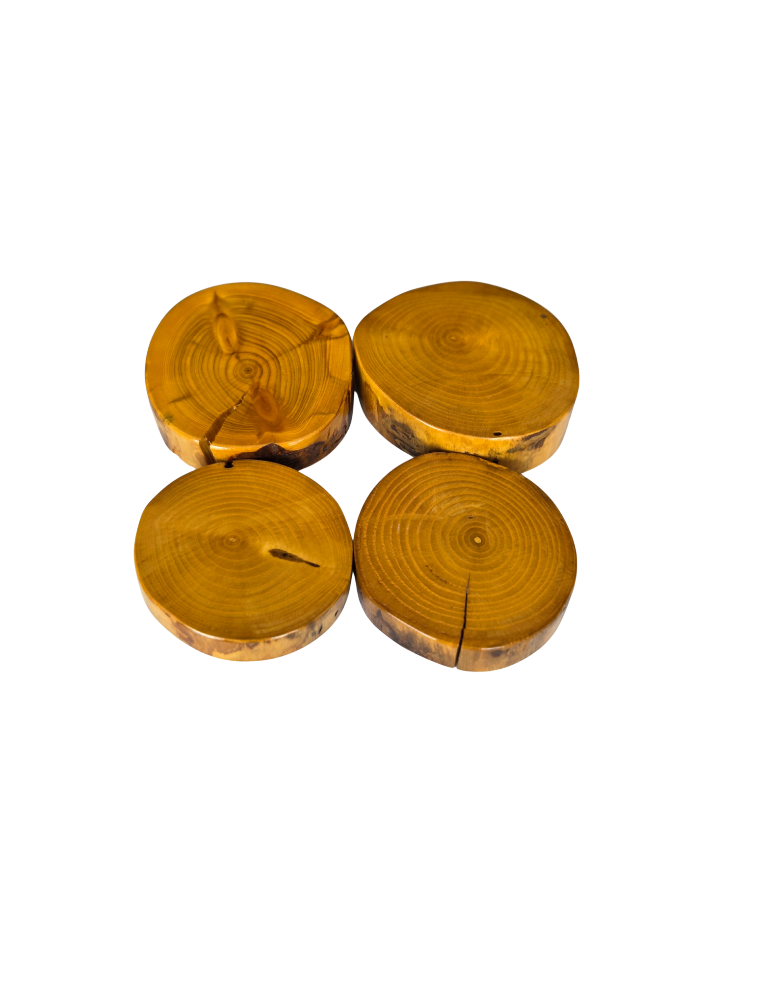 Live Edge Drink Coasters- 4 Pack